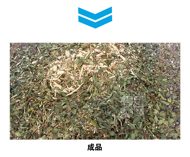 ԰����֦�����