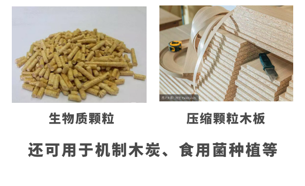 ��֦�����