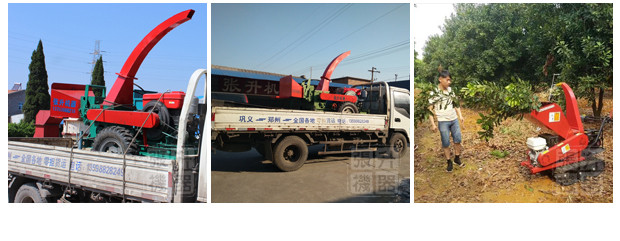 ԰����֦�����