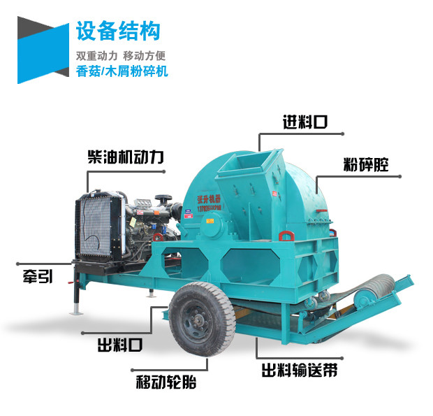 ʳ�þ������