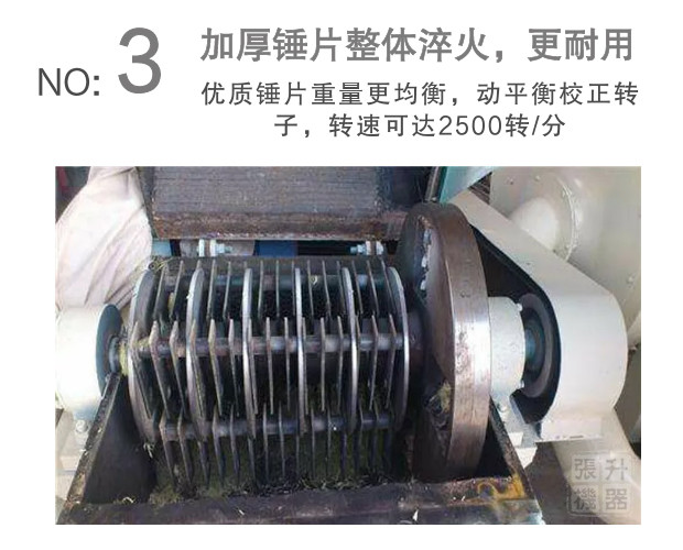 ��֦�����