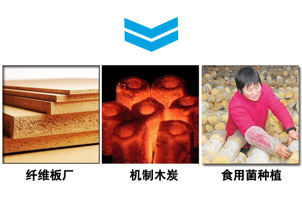 ʳ�þ������